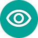 Visual testing icon