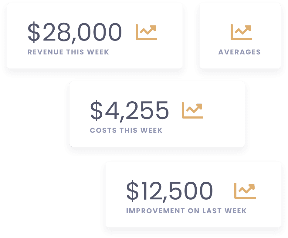 Statistics Mockup statistic-mockup